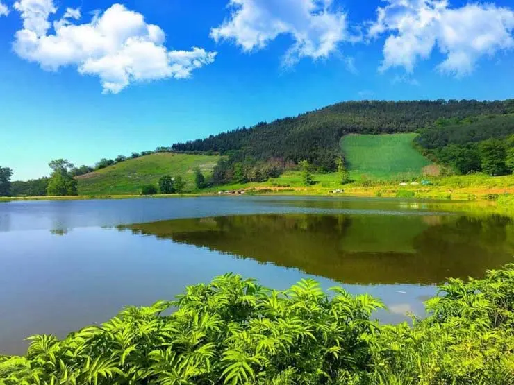 جاهای دیدنی گرگان
