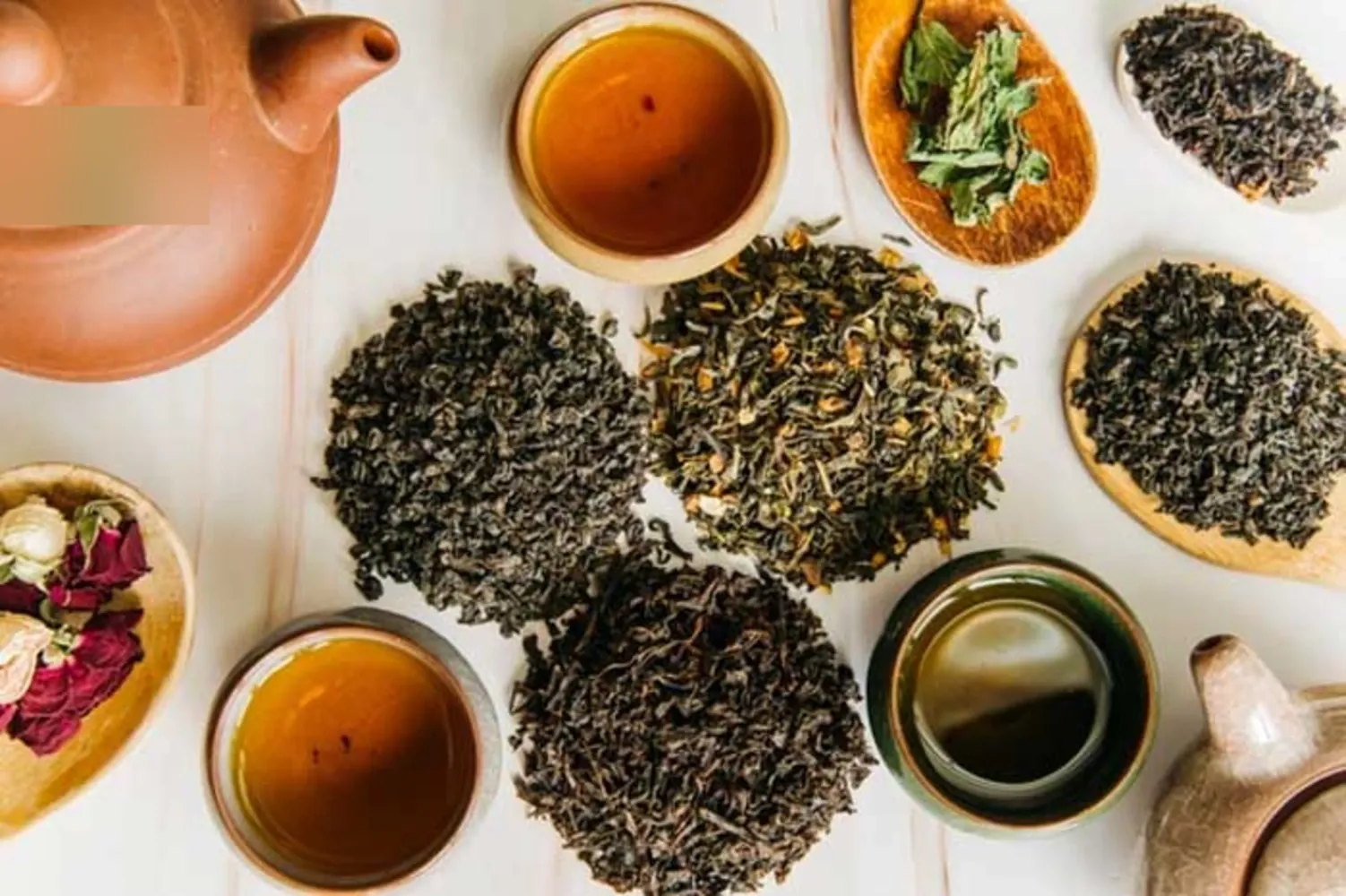 راهنمای انتخاب و خرید چای اصیل لاهیجان با معیارهای حرفه ای