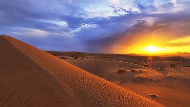 سفر کویری یا ساحلی؟ مقایسه کامل برای انتخاب بهتر