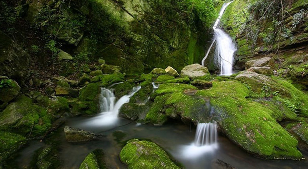 جاهای دیدنی گرگان