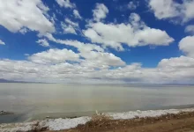 راهنمای تالاب میقان اراک؛ رصد پرندگان مهاجر و دشت های نمکی
