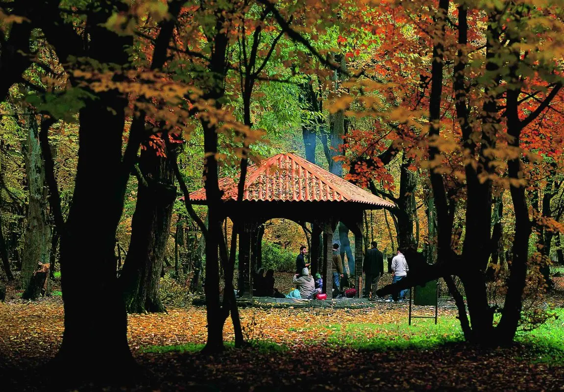 جاهای دیدنی گرگان